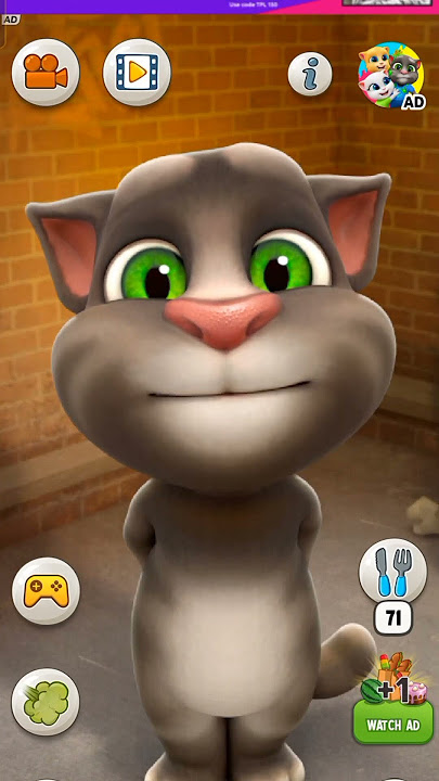 🧐To 🥰it's a wrong thing 🙏😂 #viral #ytshorts #cat