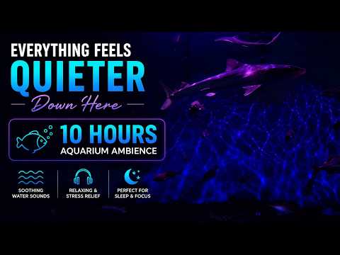 When Your Mind Won’t Switch Off… Try This | 10 Hours Dark Aquarium