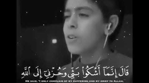 القارئ أنس سامي الشهاب