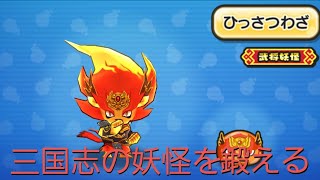 妖怪ウォッチぷにぷにイベントのメラメライオン張飛のレベルを上げました！