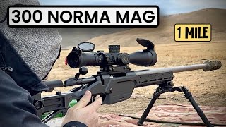 300 NORMA MAG. Лучший дальнобойный калибр из доступных. стрельба до 1600 м.