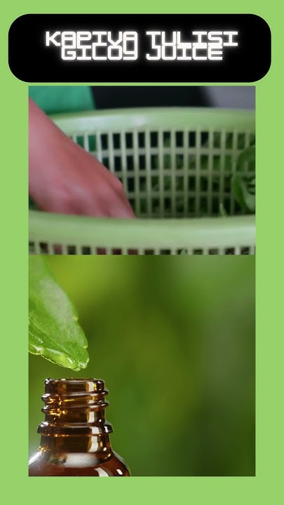 from-seeds-to-sprouts-the-ultimate-tulsi-farming-journey-holy-basil