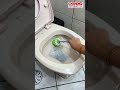 Limpa tudo!