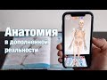 Анатомия в дополненной реальности DEVAR