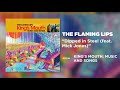 The Flaming Lips - Dipped in Steel (feat. Mick Jones) [Official Audio]