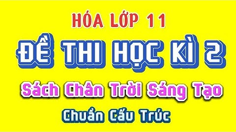 Các đề kiểm tra hóa 11 học kì 2 năm 2024