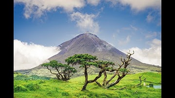 Class 1 Introduction (Fundamentals of Environmental Engineering)