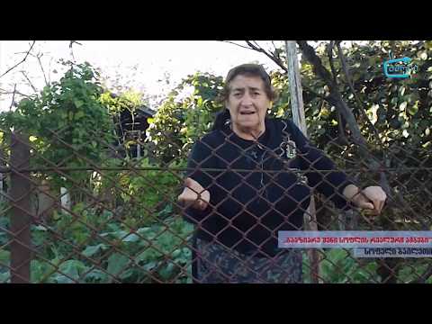 \"გააზიარე შენი სოფლის რეალური ამბები\" -   ფაროსანასაგან განადგურებული მოსავალი ბაილეთში