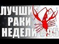 ЛРН выпуск №95. ЗАПРЕЩЕННЫЕ СИМВОЛЫ [Лучшие Раки Недели]