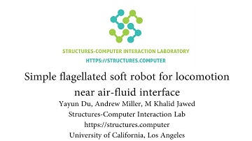 Simple flagellated soft robot for locomotion near air-fluid interface