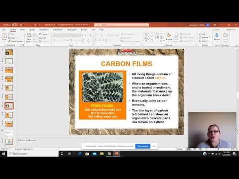 Fossils: Carbon Films