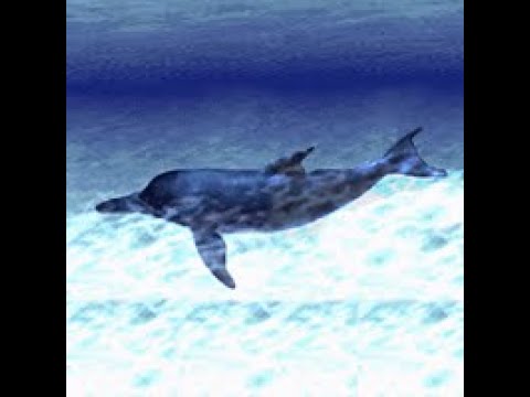 GUITARFREAKS 8thMIX & drummania 7thMIX: 古川もとあき - The Ocean and You