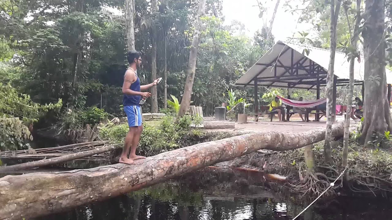 Junglecamp Junglecamp