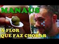 SABORES DO AMAZONAS: TURISTAS DO SUDESTE PROVAM COMIDAS TÍPICAS DO NORTE | MANAUS Viaje Por Conta 59