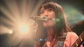 ヤバイTシャツ屋さん/ ネコ飼いたい(LIVE 2018)