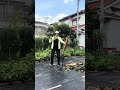弟子の斬り残しです💪