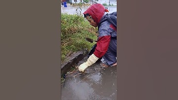 Unclogging Sewer Drain by Debris #real #flooding #cleaning #shorts #unclog #drain #remove
