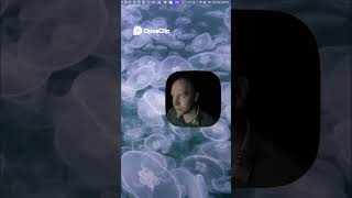 Telegram Stars Легкое подключение платежей для вашего бизнеса!