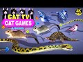 Cat games official  best cat tv complation for cats  the jerry mouse hole  4k 8hours  