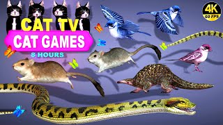 CAT GAMES OFFICIAL | BEST CAT TV COMPLATION FOR CATS | THE JERRY MOUSE HOLE  4K 8HOURS |