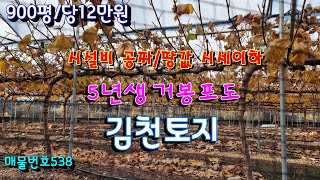 김천토지/시설비 공짜 땅값은 시세이하 가격싼 거봉 포도밭