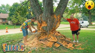 TOTAL IDIOTS AT WORK | Instant Regret Fails Compilation 2025 | Best fail of the week😂 #65