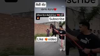 ਪੰਜਾਬ ਸੰਗਾਰ #horselover #bird  #topvideo #chnnel #youtube #short video