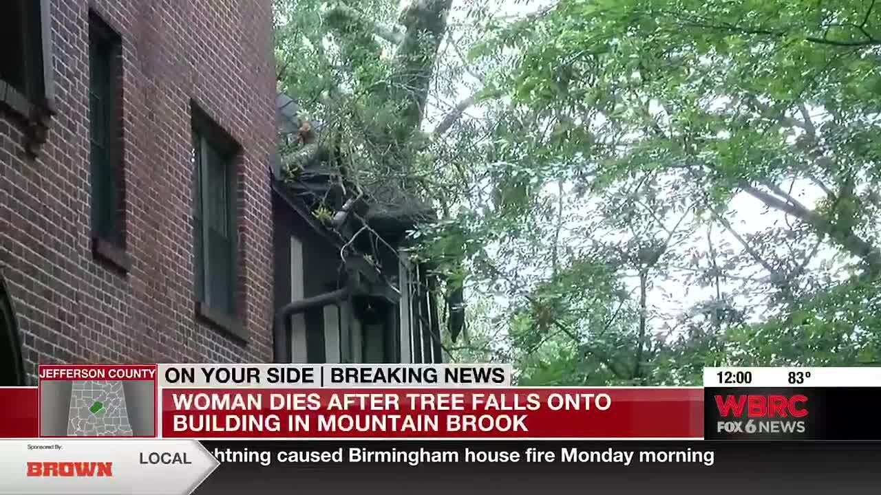 Woman dies after tree falls onto building in Mountain Brook - YouTube