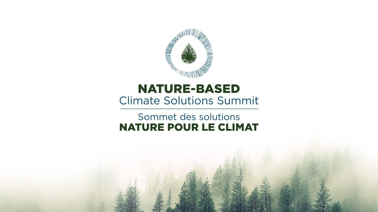 Natural base. Natural climate solutions. Nature based solutions. Natural based solution. Nature based solution World Cases.