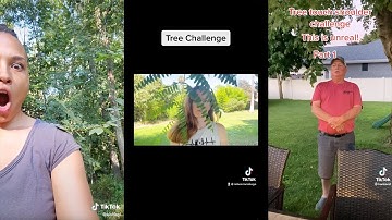 6 Tik Toks that PROVE that Trees Can Hear Us