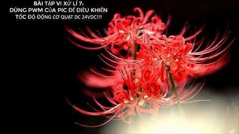 BÀI TẬP VXL 7:DÙNG PWM CỦA PIC 16F887 ĐỂ ĐIỀU KHIỂN TỐC ĐỘ ĐỘNG CƠ DC!!!!