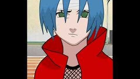 RPC Adopt(Paint.net)