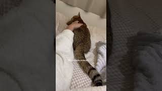 Download Lagu R.I.P. 💔 MP3