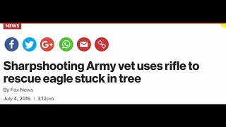 Sharpshooting Army vet uses rifle to rescue eagle stuck in tree
