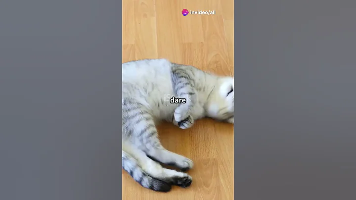 Watch the video about Cats