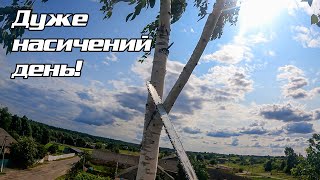 картинка: Обрізаємо два горіхи і зрізаємо одну березу