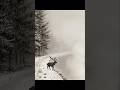 Reindeer landscape drawing with pencil! #shorts! #youtubeshorts! #drawing!