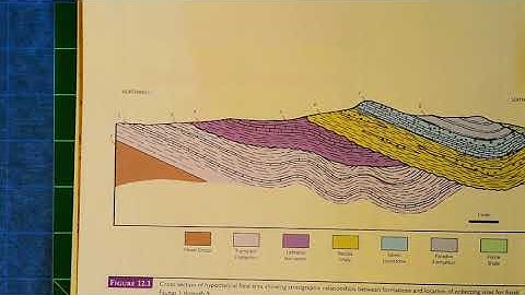 Historical Geology- Index Fossil lab