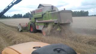 Moisson 2016