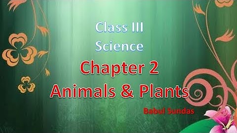 CLASS III SUBJECT SCIENCE CHAPTER 2 Animals and Plants