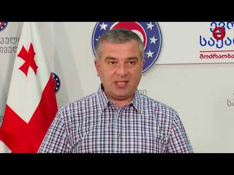 დავით ბაქრაძე: „ეს არის შერჩევითი მართლმსაჯულება და პირადი შურისძიება ნიკა გვარამიას წინააღმდეგ“