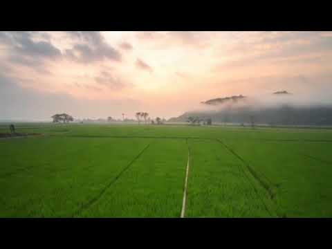 KUMPULAN TARLING CIREBONAN || TERBARU 2026