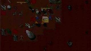 Tibia - Noob Adventure