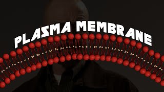 Plasma Membrane | Breakthrough Junior Challenge 2023