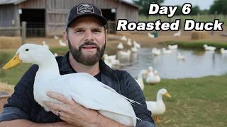 Download Lagu Het fokken van Pekingeenden: van ei tot tafel | Dag 6 van de 'Homegrown Food Challenge'. Shawn Woods MP3