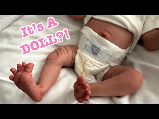 。・°°RAINE BY TOBY MORGAN ゜・**リボーンドール RAINE BY TOBY MORGAN ゜・**リボーンドール - 人形送料 無料 通販