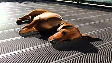 84 lumber composite decking prices