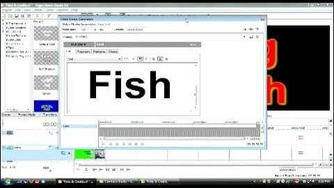 Vegas Movie Studio 9: How to Make Titles & Credits