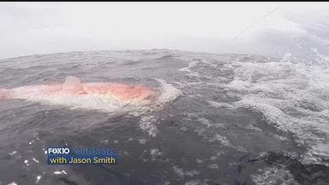 FOX10 Outdoors: Snapper fishing with a circle hook