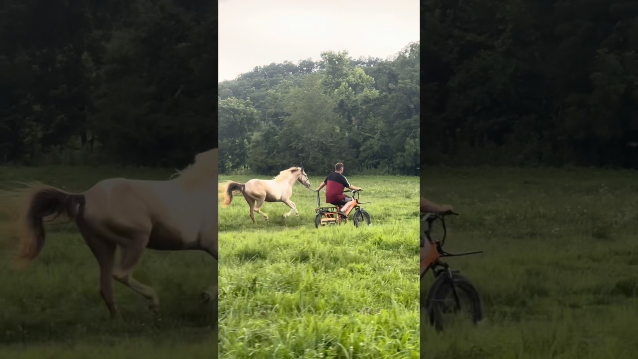 Never Thought I’d Lead My Horse On A Bike😅 #shorts #horse #training #ebike